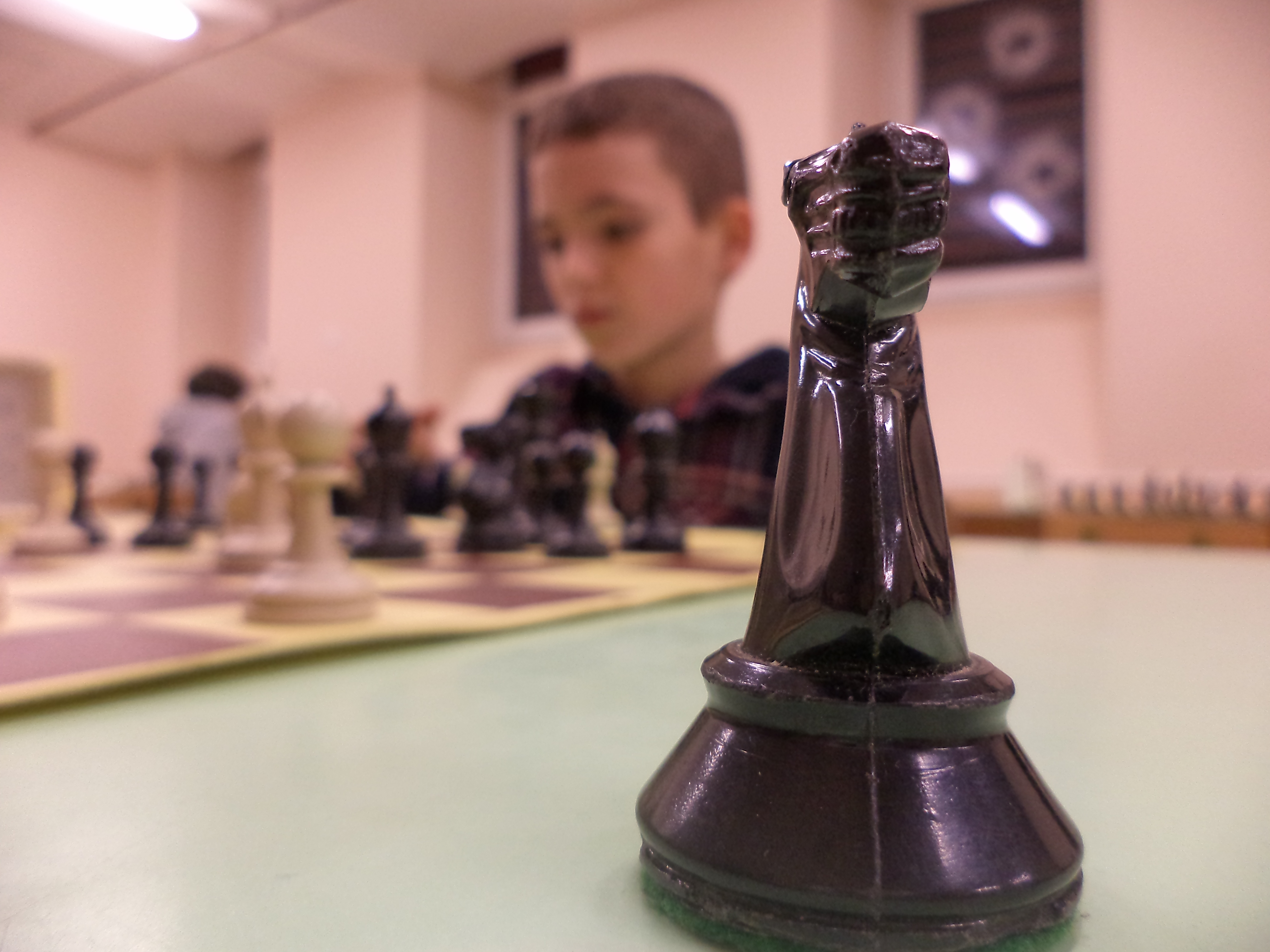 „Országomat egy lóért” -  Napközis jellegű sakktábor 